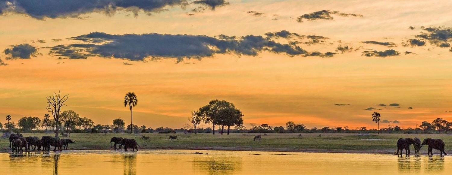 Chobe National Park