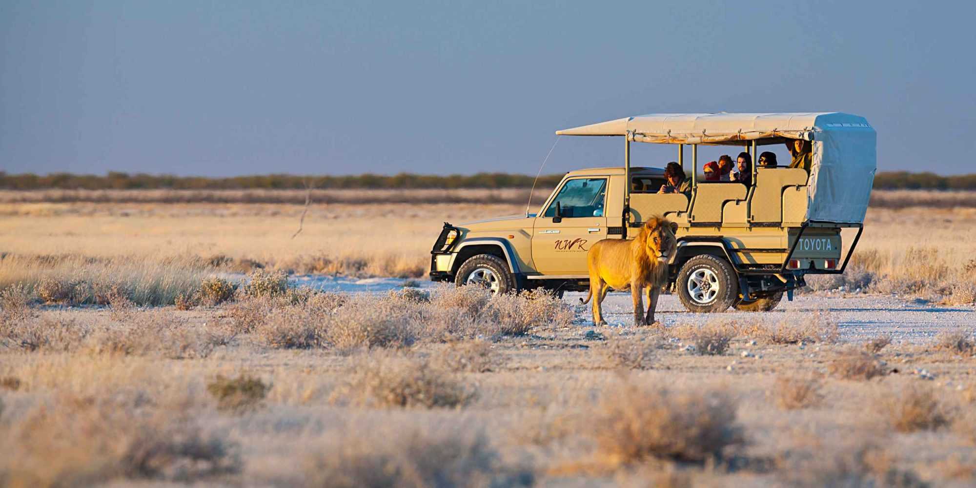Etosha National Park Tour