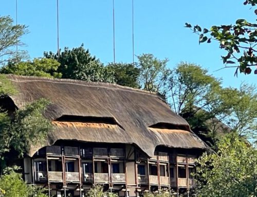 Essential Travel Tips for First-Timers